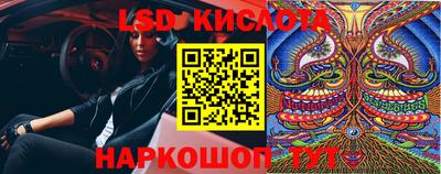 гашик Кунгур