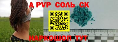 гашик Кунгур