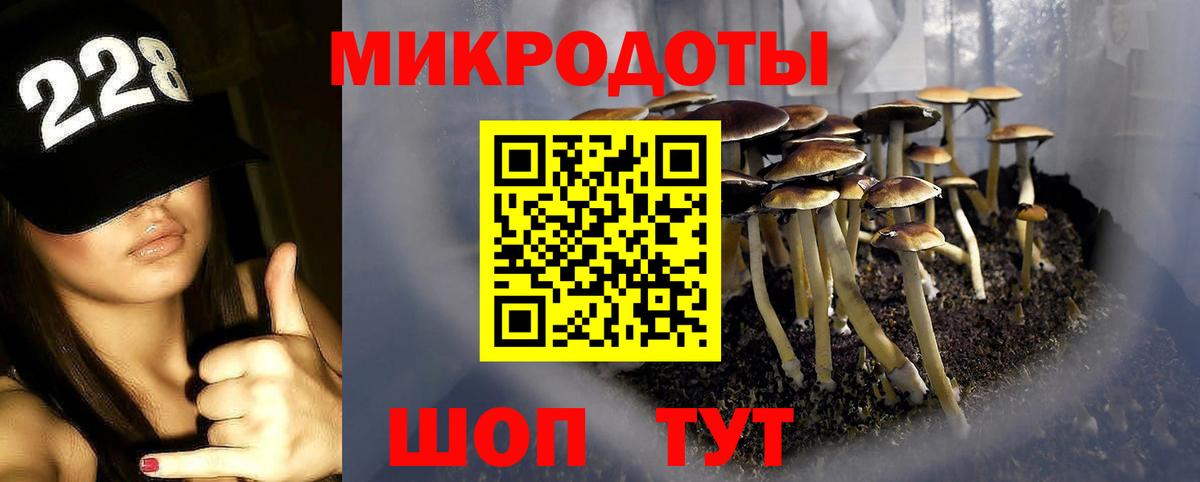 Псилоцибиновые грибы мицелий Вятские Поляны